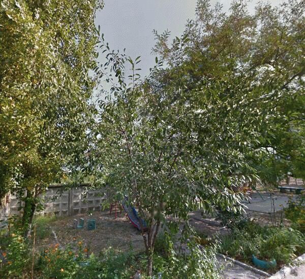 Банкомат Петрокоммерц банка по адресу улица Герцена 17